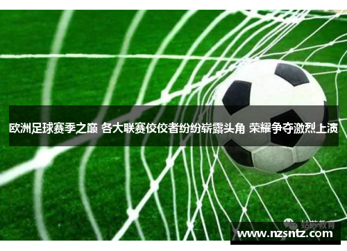 欧洲足球赛季之巅 各大联赛佼佼者纷纷崭露头角 荣耀争夺激烈上演